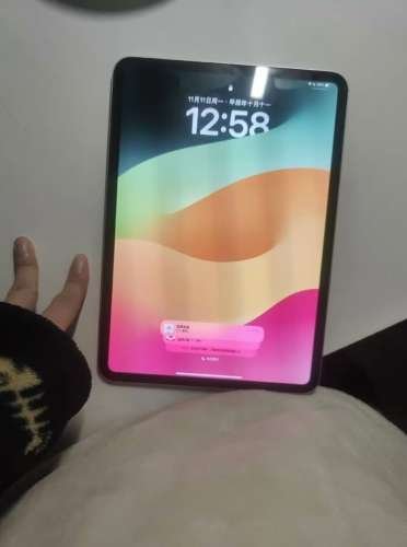 ipad pro202499256g