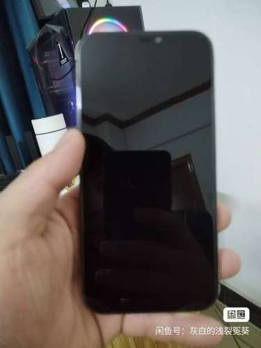 iPhone 12 Pro Max 100