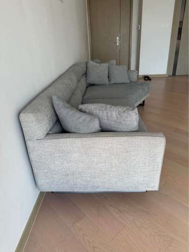TREE sofa in great condition