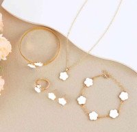 5in1 jewelry Set
