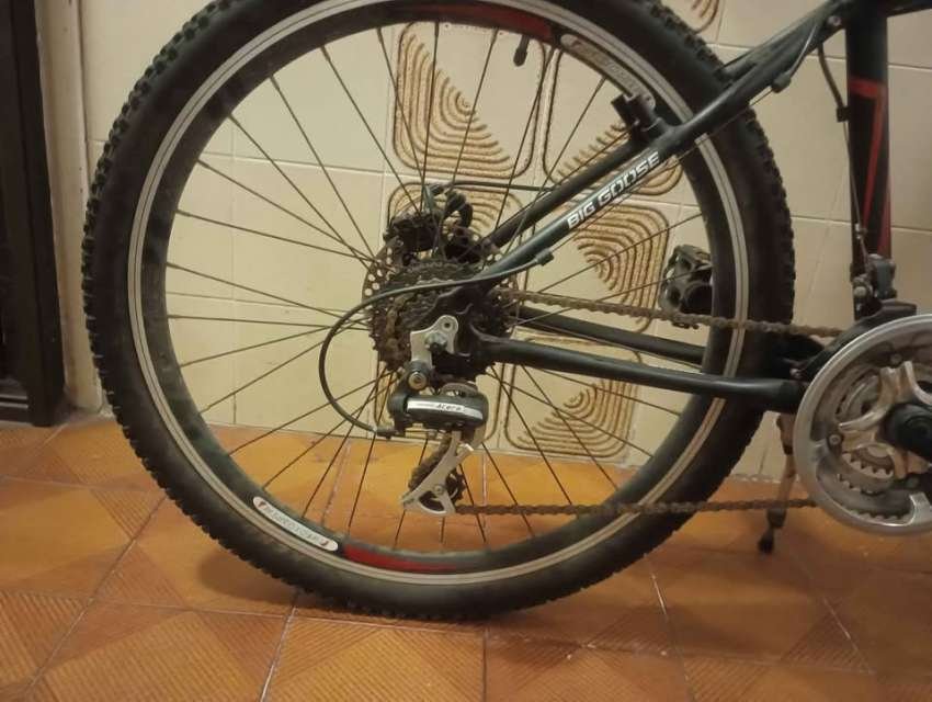 26  
