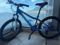 kids bike