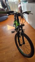 20inch Oyama Mountain Bike
