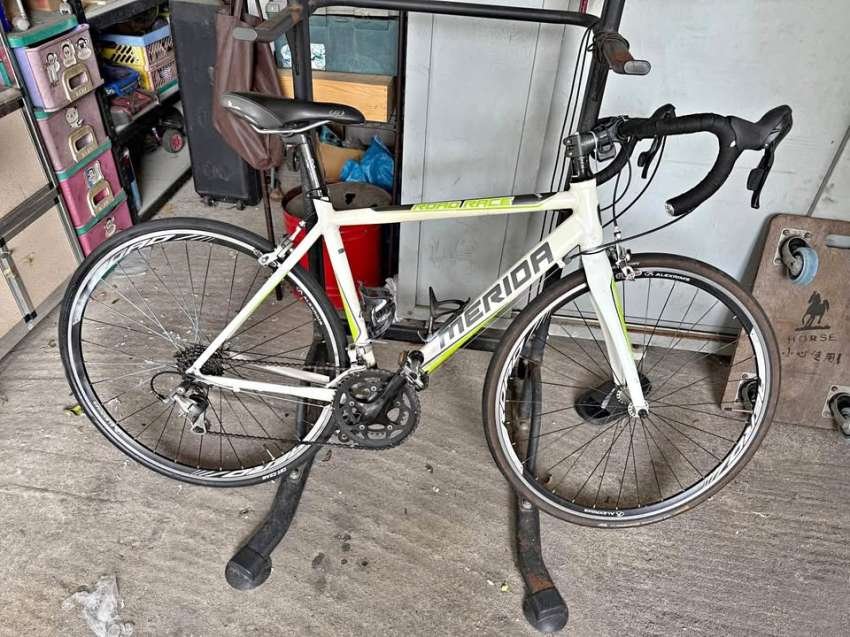 Merida901