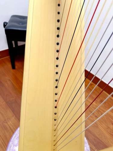 Resonance Harp Classic 40  Level Harp 40