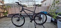 GIANT M