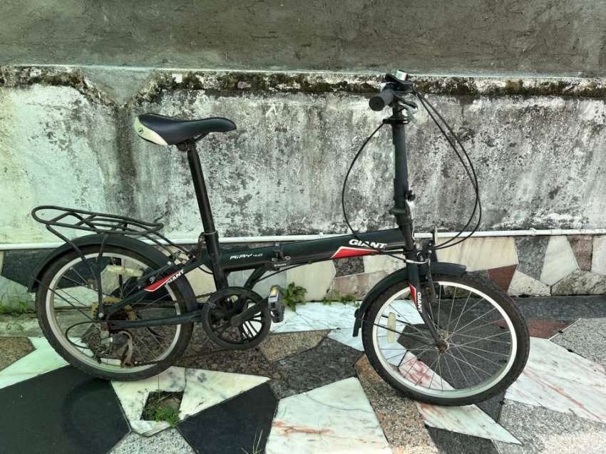 Giant