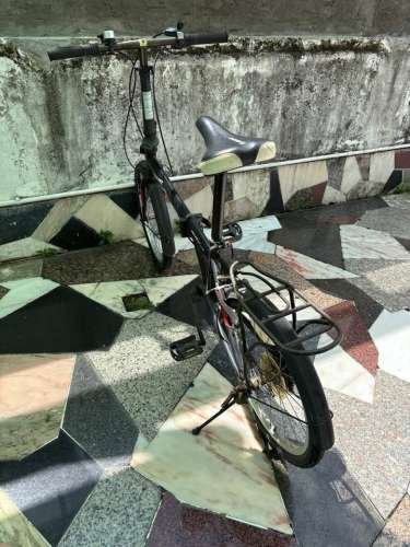 Giant