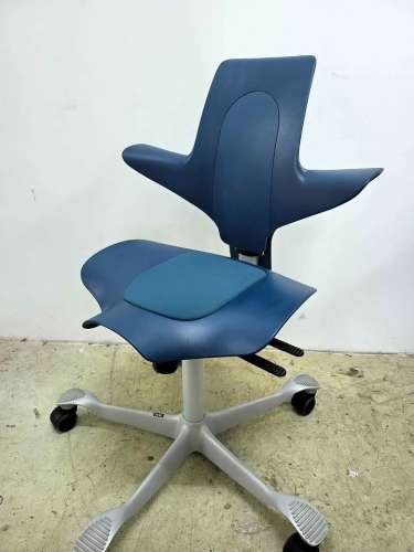 Hag Capisco 8020 ergonomic chair 