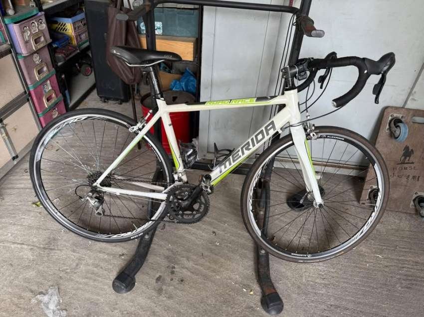 Merida901