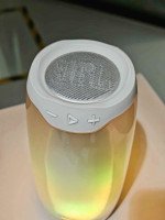 JBL Pulus 4