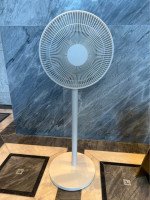 Wireless fan