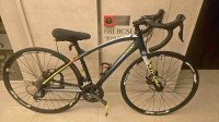 Giant AnyRoad 1