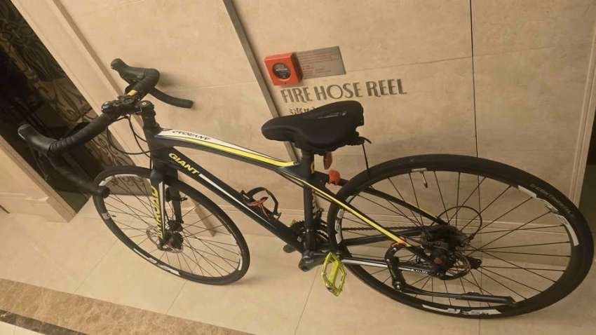Giant AnyRoad 1