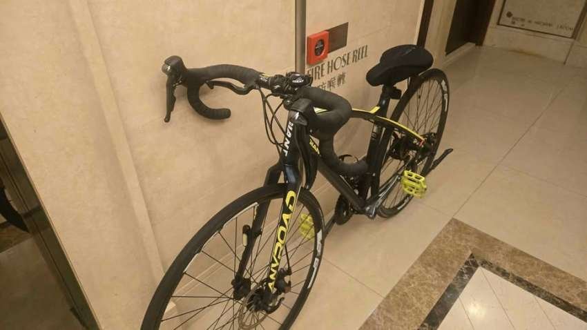 Giant AnyRoad 1