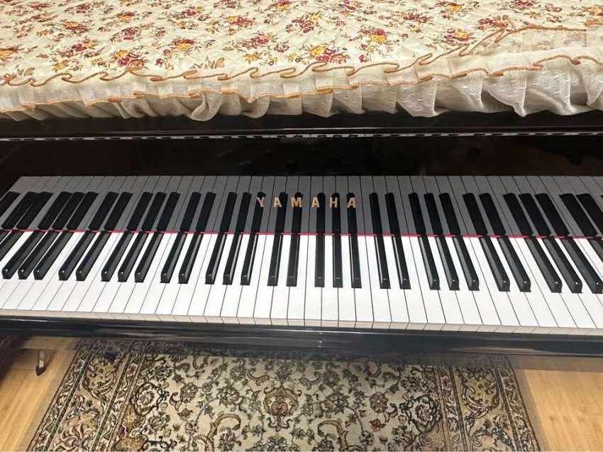 Yamaha C1