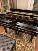 Yamaha C1