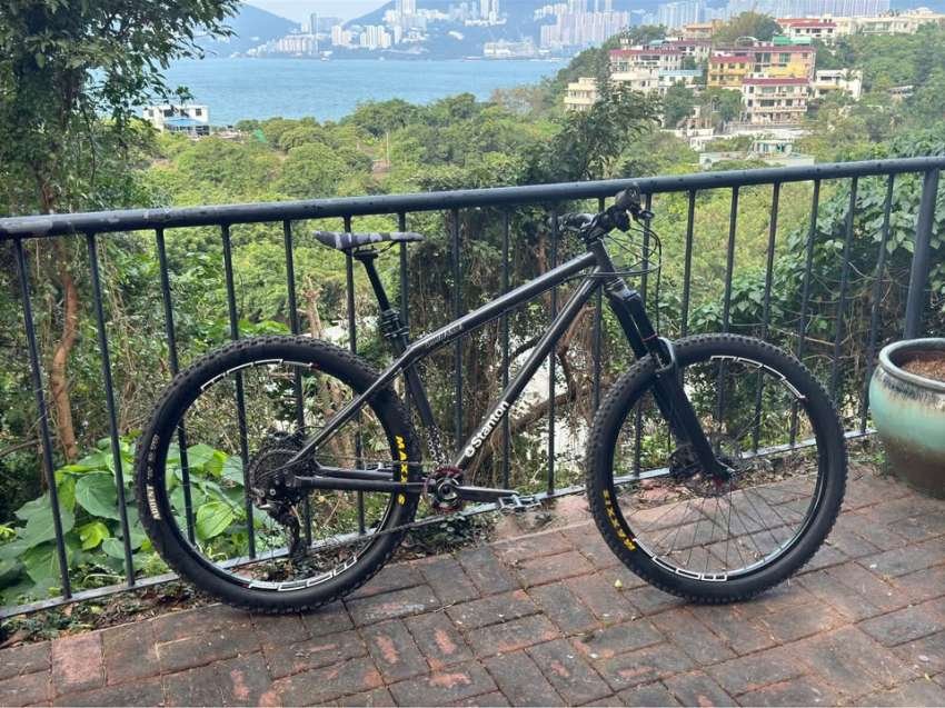 Stanton Switchback for sale