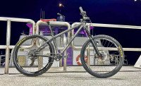 Stanton Switchback for sale