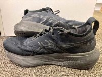 Asics Tiger Nimbus running shoes
