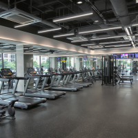 Gym  Fitness in Hong Kong