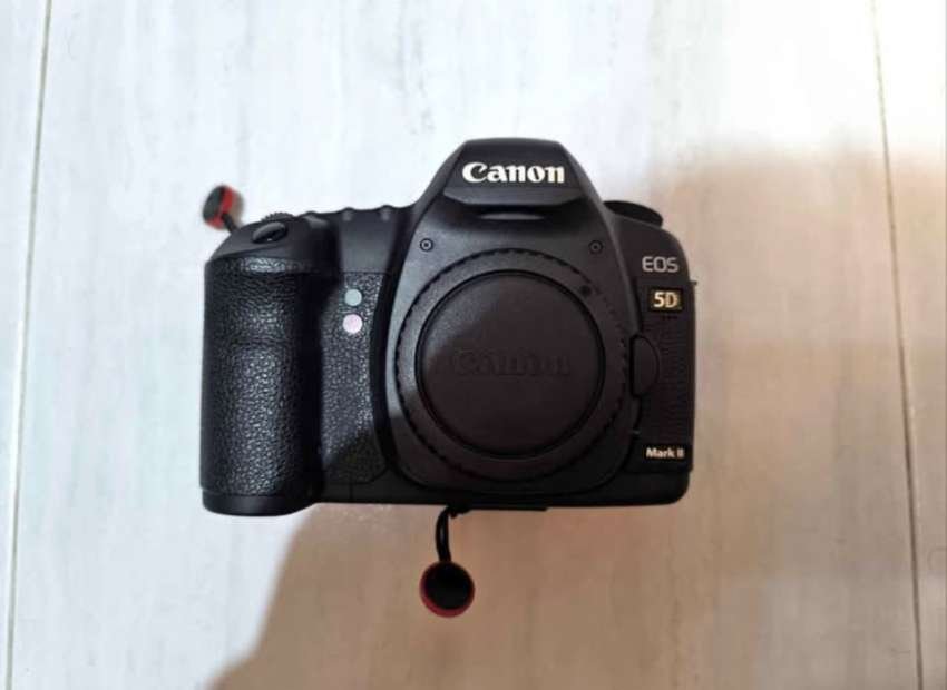 Canon  5d5