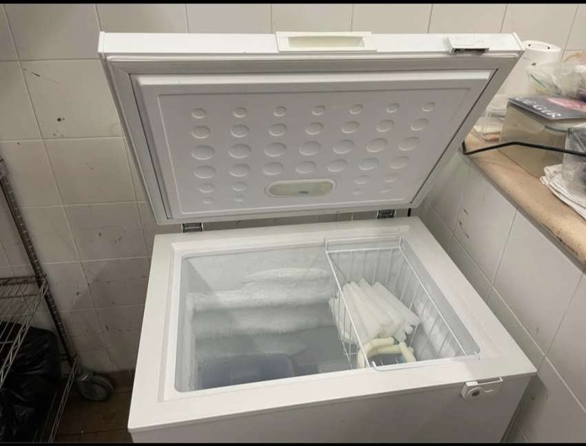 Freezer 150L