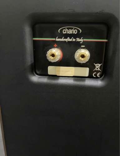 chario2