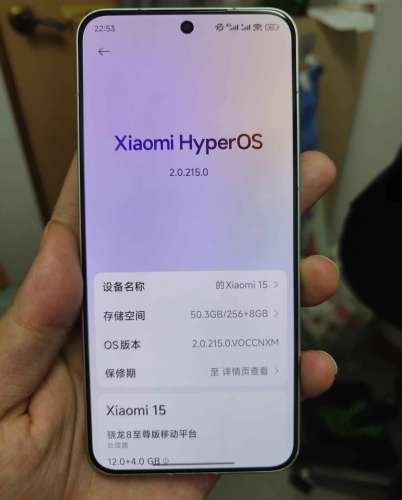 Xiaomi 15 12256