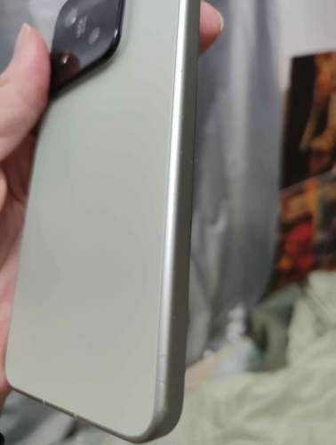 Xiaomi 15 12256