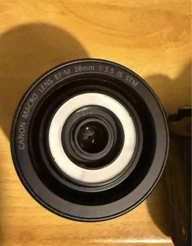 Canon M50  EFM1545 IS STM  EFM 28mm f35 Marco IS STM