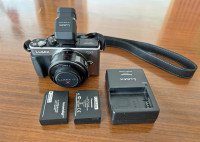 Panasonic LUMIX GX1 mirrorless 